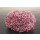 Gioia 500g Tüte 27 rosa