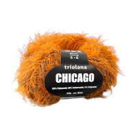 Chicago Herbst 19